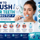 How to Brush Your Teeth Correctly: A Step-by-Step Guide for a Healthier Smile